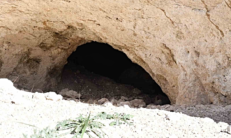 Ayrıntılar Netleşti: Pekmezin sırrı bu toprakta: Yozgat’tan Antalya’ya, Almanya’ya kadar gidiyor: Gelişmeler T