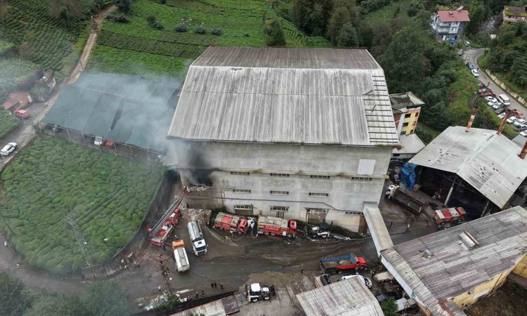 Ayrıntılar Netleşti: Rize Çayeli'de Okumuş Çay Fabrikası'nın ambalaj deposundaki yangında can kaybı olmadı | İ