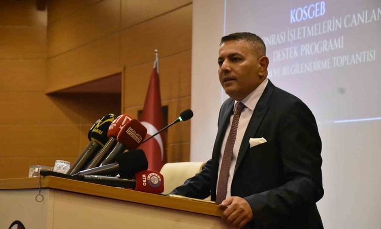 Ayrıntılar Netleşti: Sadıkoğlu, KOSGEB kredilerinde hukuki süreçlere karşı iki yıl erteleme istedi | İşte Tüm