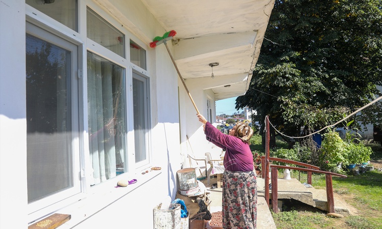 Ayrıntılar Netleşti: Sakarya Kocaali'de kahverengi kokarcaya karşı 5 mahallede toplu ilaçlama yapıldı - Son Da