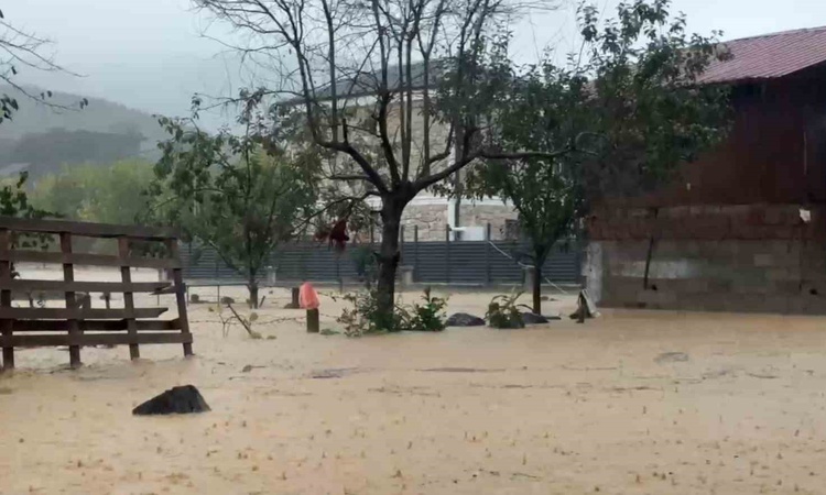 Ayrıntılar Netleşti: Sakarya Kocaali'de sel tavuk kümelerini vurdu, 60 bin kanatlı hayvan telef oldu - Son Dak