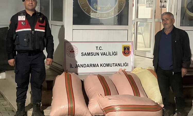 Ayrıntılar Netleşti: Samsun Çarşamba'da fındıkta dolandırıcılık iddiasıyla 2 şüpheli yakalanarak gözaltına sev