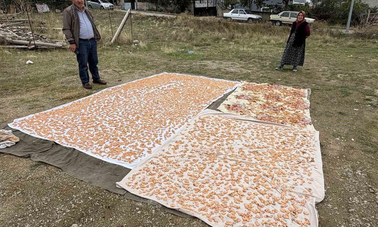 Ayrıntılar Netleşti: Sinop Boyabat'ta tarhana hazırlıkları Esentepe Mahallesi'nde resmen start aldı ve Merak E