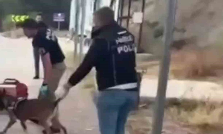 Ayrıntılar Netleşti: Sinop Boyabat'ta uyuşturucu operasyonunda 3 şüpheli hakkında tutuklama kararı verildi: Ge