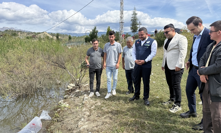 Ayrıntılar Netleşti: Sinop'ta göletlere 2 bin sazan yavrusu salındı: Gelişmeler Takip Ediliyor