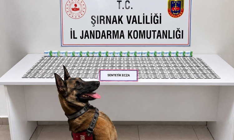 Ayrıntılar Netleşti: Şırnak'ta jandarma operasyonunda aranan 49 şahıs yakalandı, 12 kişi hakkında tutuklama ka