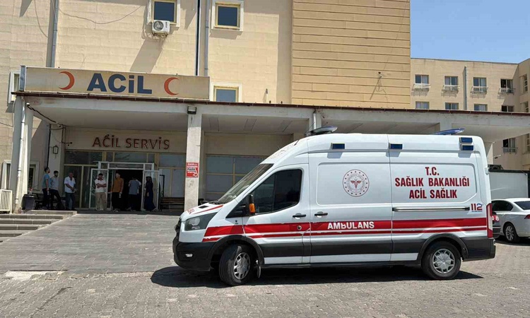 Ayrıntılar Netleşti: Siverek-Çermik karayolunda yoldan çıkan otomobilde 3 kişi yaralandı | İşte Tüm Ayrıntılar