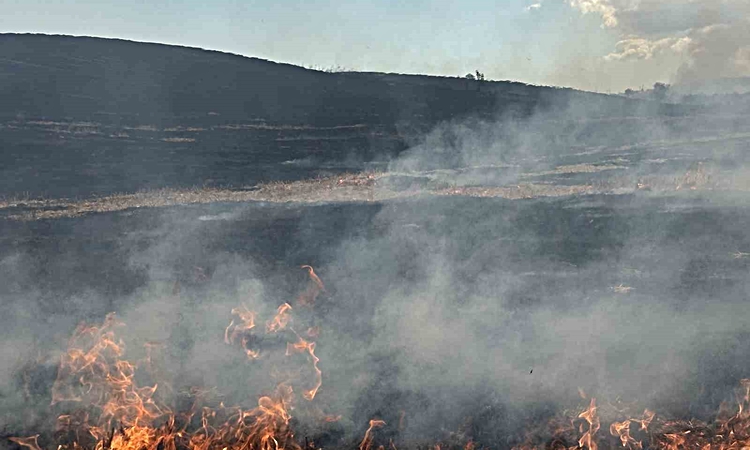 Ayrıntılar Netleşti: Tekirdağ’da korkutan anız yangını: Gelişmeler Takip Ediliyor
