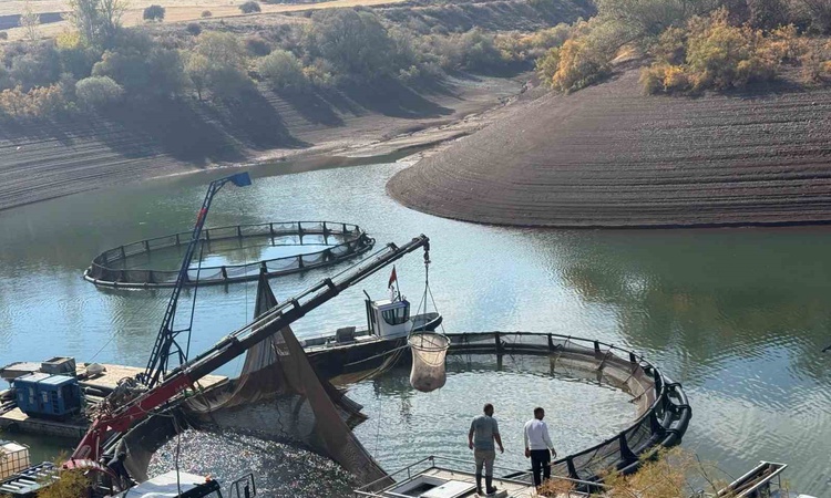 Ayrıntılar Netleşti: Tercan Baraj Gölü'nde Gümüşdoğa 2026 sezonunda yaklaşık 200 ton balık hasadı yaptı ve Mer