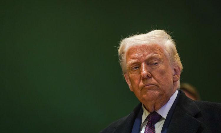 Ayrıntılar Netleşti: Trump: AfD'nin Almanya'daki yükselişi sürüyor ve Merak Edilenler