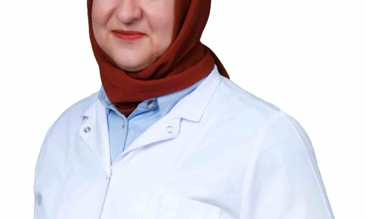 Ayrıntılar Netleşti: Uzmanından Sıtma Uyarısı: Almanya'daki Vakalar Nadir Ama Ateş ve Titremeyi Ciddiye Alın v