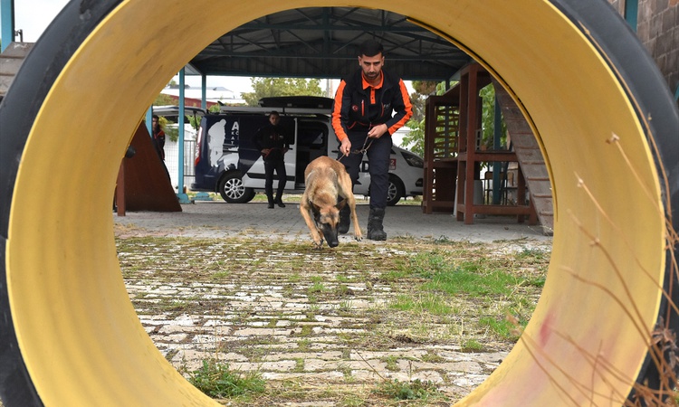 Ayrıntılar Netleşti: Van AFAD'da Börte ve Lucy 2027'de canlı arama sınavına hazırlanıyor ve Merak Edilenler