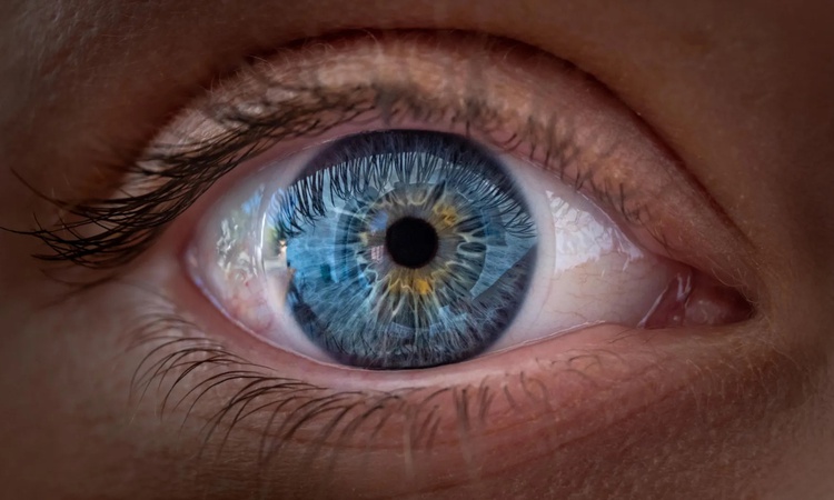 Ayrıntılar Netleşti: Yapay zeka retina taraması biyolojik yaşlanmayı ve gizli hastalıkları erken saptıyor: Gel