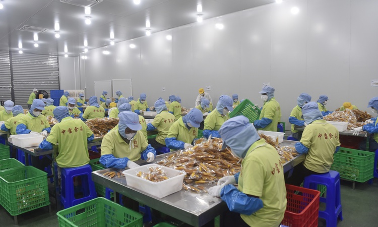 Ayrıntılar Netleşti: Zhong Bao, Çin'e 12.000 ton kurutulmuş mango ihraç etti, 2026 için kapasite artırıyor | İ