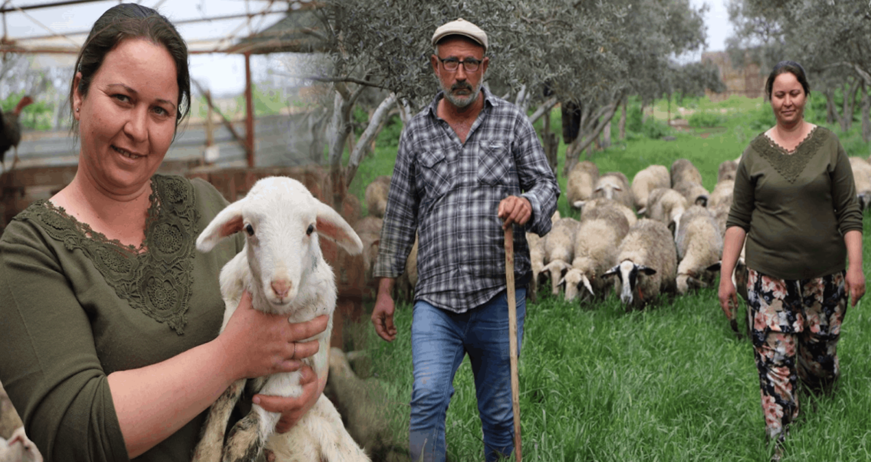 Gündemden Son Bilgiler: Babasının hediye ettiği kuzuyla çiftlik kurdu - Son Dakika
