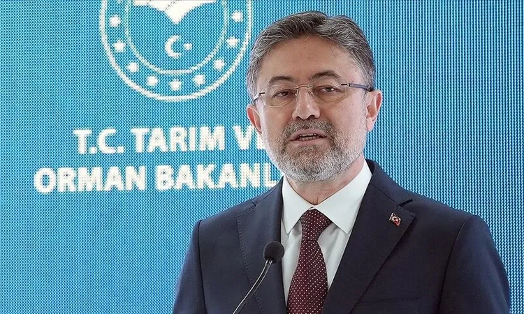 Kritik Açıklama: Bakan Yumaklı: Alanya, Dilovası ve Marmara Adası'ndaki alevlerlar dizginlendi - Haberleri