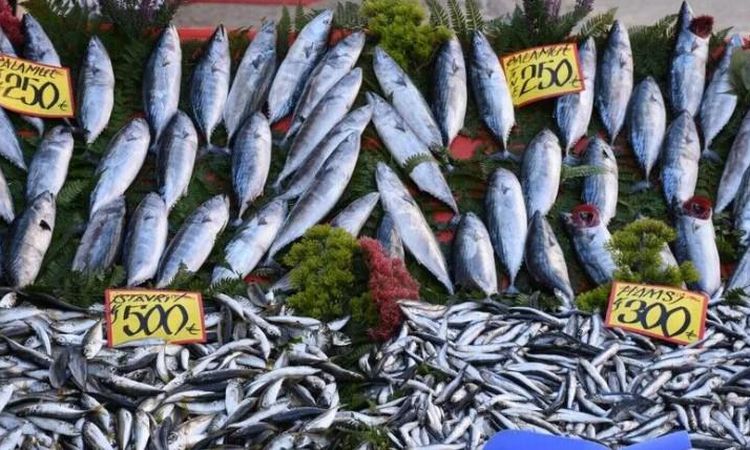 Balık av yasağı ne zaman kalkıyor, balık av yasağı kalktı mı? | İşte Tüm Ayrıntılar