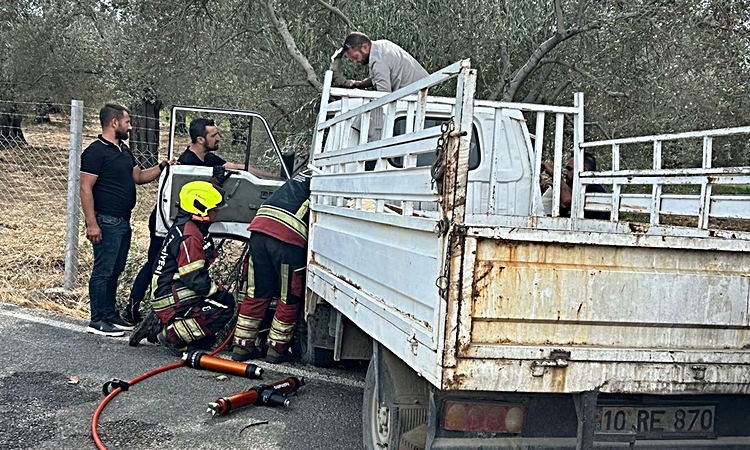 Balıkesir Burhaniye'de kamyonetteki eşek arısı sürücüyü paniğe itti, 2 kişi yaralandı