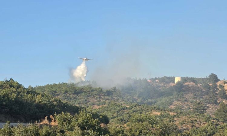 Son Gelişme: Balıkesir Havran’da maki ve mera alevlerı dizginlendi - Son Dakika | İşte Tüm Ayrıntılar