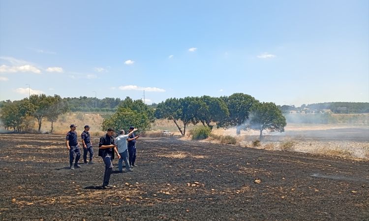 The flames in agricultural lands in Balıkesir were extinguished - Last Minute