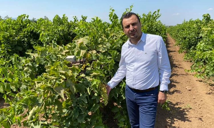 Ayrıntılar Netleşti: Başevirgen'den TMO'ya üzüm çağrısı: Taban fiyat 150 liranın altında olmasın - Son Dakika