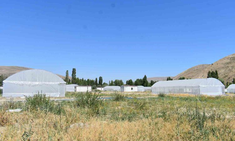 Ayrıntılar Netleşti: Bayburt’ta Eko Köy 2 Projesi’nde sona yaklaşıldı - Haberleri: Gelişmeler Takip Ediliyor
