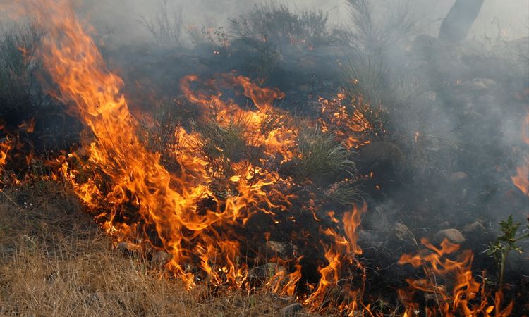 Wheat field was damaged in the flames in Beypazarı - Breaking News