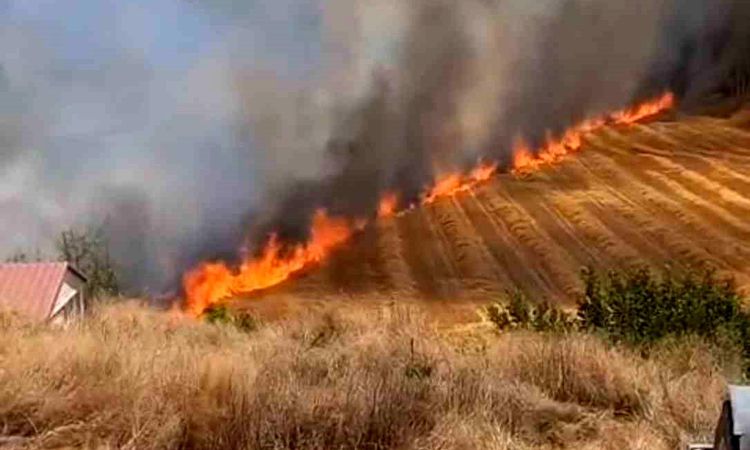 Two different flames in Beypazarı were restrained by the intervention of teams - Last Minute