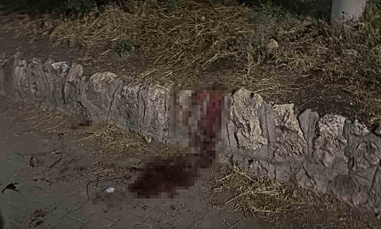 Bıçaklı kavgada 17 yaşındaki çocuk ağır yaralandı - Son Dakika Bilgileri