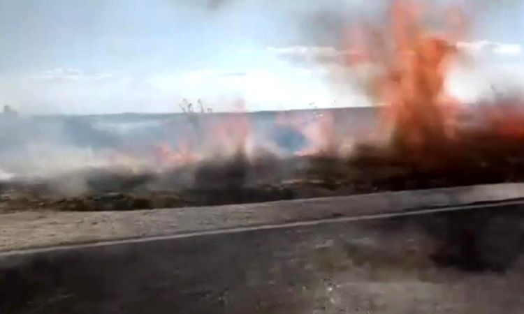 Sparks from the combine harvester destroyed the agricultural land - Breaking News