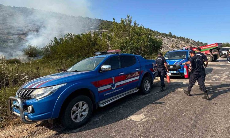 Biçme makinesinden çıkan kıvılcım ormanı yaktı, aracın operatörü gözaltı işlemi uygulandı - Son Dakika Haberle