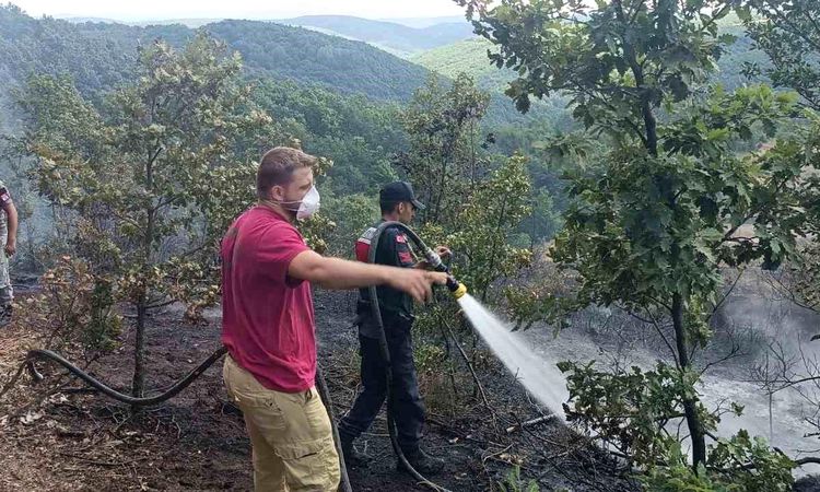 Frightening flames in an area of ​​20 decares in Bilecik - Breaking News