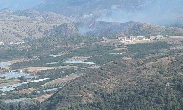 Bilecik’te orman yangını kontrol altına alındı ve Merak Edilenler