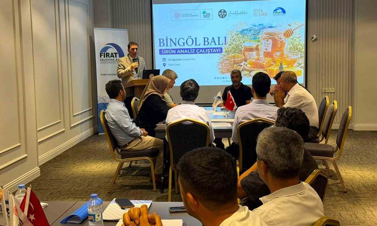 Son Gelişme: Bingöl Balı’nın katma değerli ürünlere dönüştürülmesi için yol haritası belirleniyor - Son Dakika