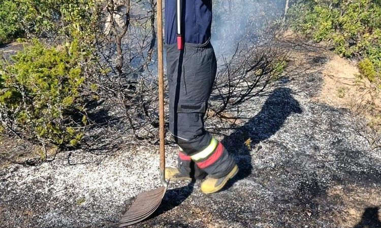 The flames on the roadside in Bingöl were extinguished - Last Minute