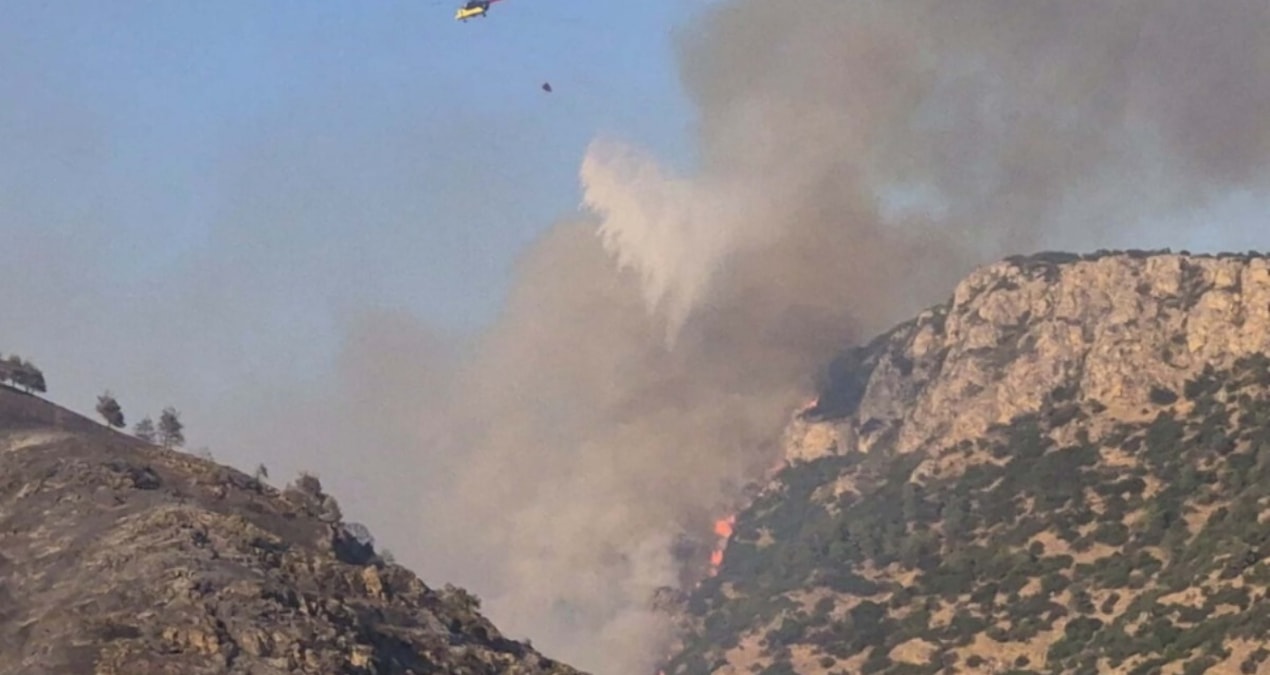 Forest fires in many provinces; Intervention continues in two provinces - Latest News