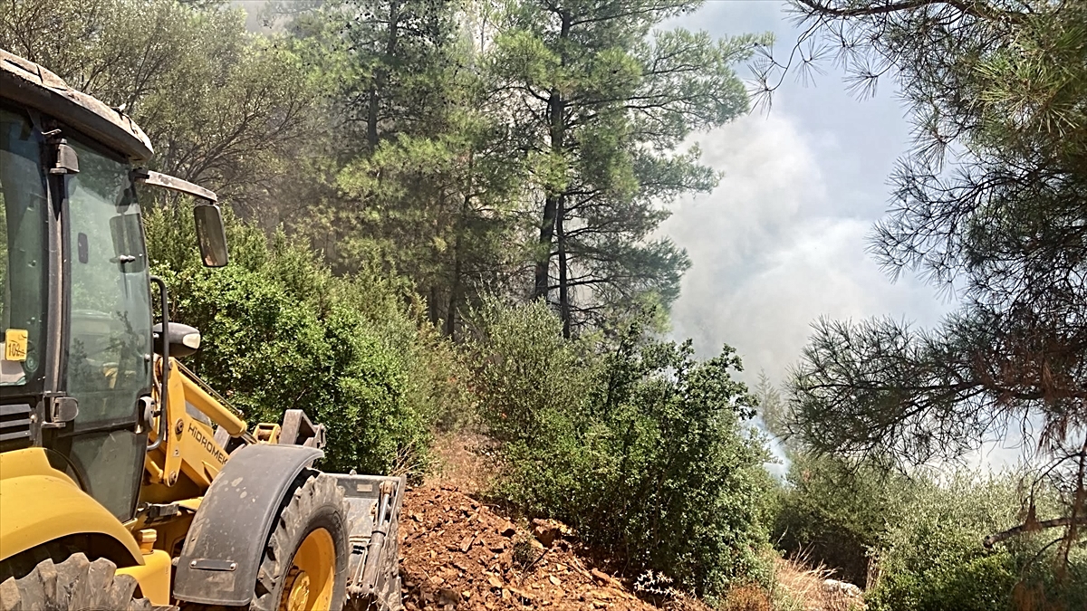 Forest flames in Bodrum were extinguished - News