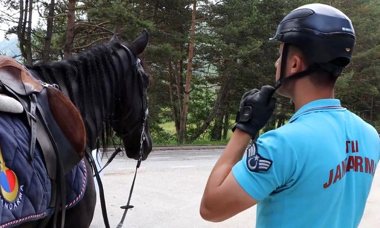 Kritik Açıklama: Bolu'da atlı jandarma timleri görev başında - Son Dakika - Son Dakika Bilgileri