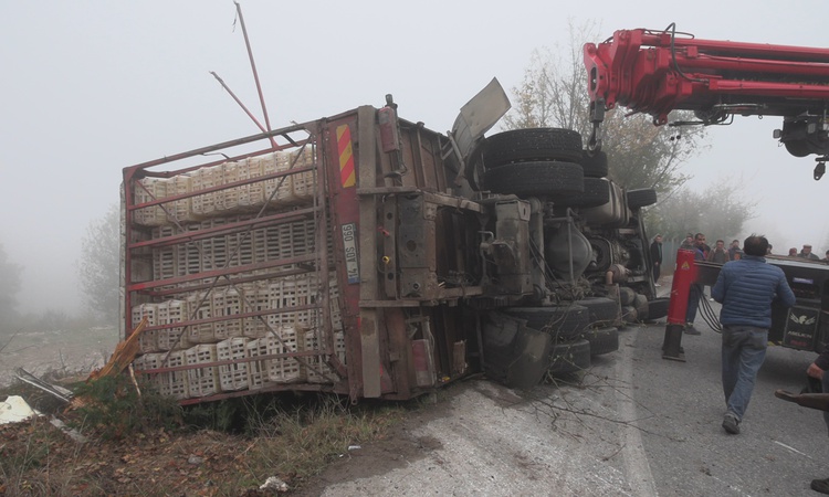 Bolu'da canlı tavuk yüklü kamyon virajda devrildi, 4 kişi yaralandı