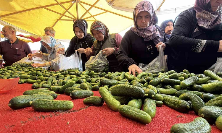 Bolu'da kışlık hazırlık resmen start aldı, pazarlarda salçalık ve turşuluk ürünler ilgi görüyor