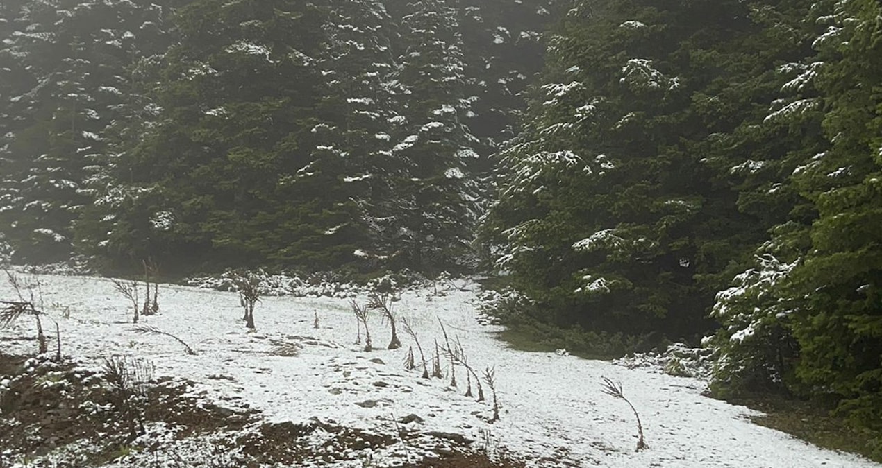 Son Gelişme: Bolu'nun yüksek kesimlerine kar yağdı - Son Dakika ve Merak Edilenler