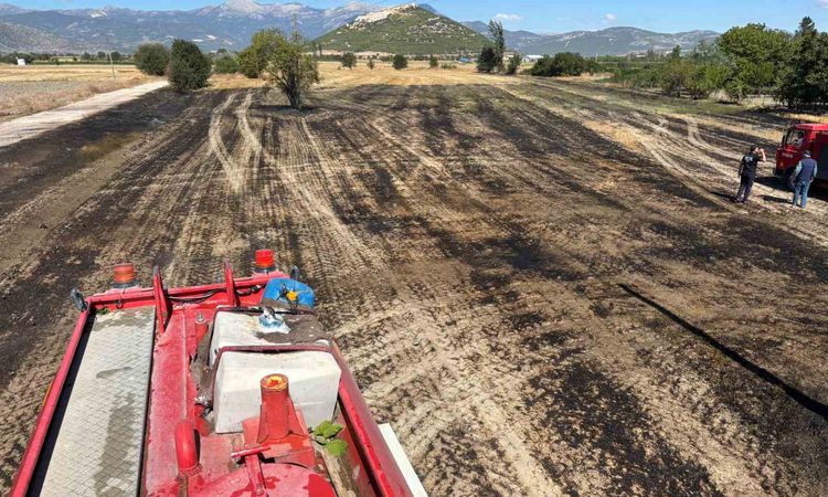 Bucak'ta Anız Yangını Kontrol Altına Alındı - Son Dakika Bilgileri