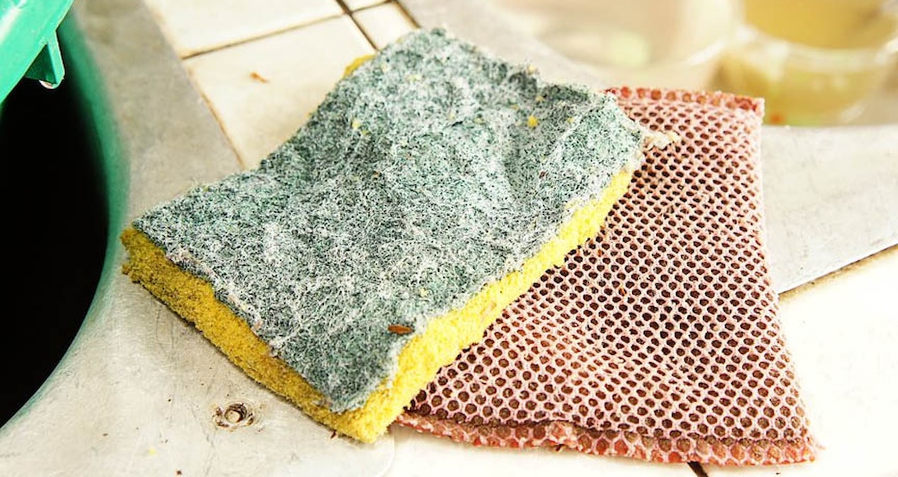 Apply this process to the dish sponge once a week - Last Minute