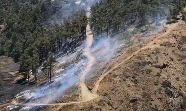 Forest flames in Bursa - News