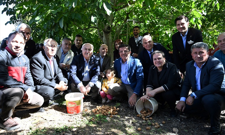 Çameli'de düzenlenen ceviz hasat şenliğine Denizli Valisi Köşger katıldı