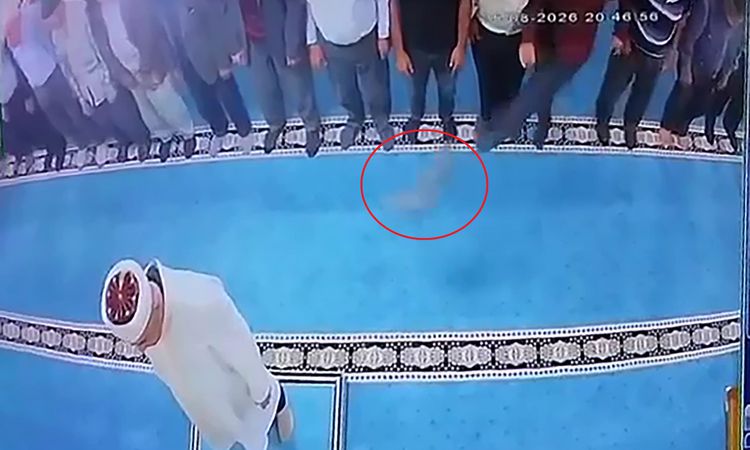 Camide Kediye Tekme Atan Şahıs Gözaltında - Son Dakika Bilgileri