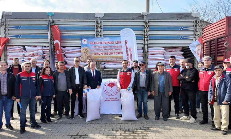 Çanakkale'de 55 üreticiye 62 bin 500 kilogram sertifikalı buğday tohumu dağıtıldı ve Merak Edilenler