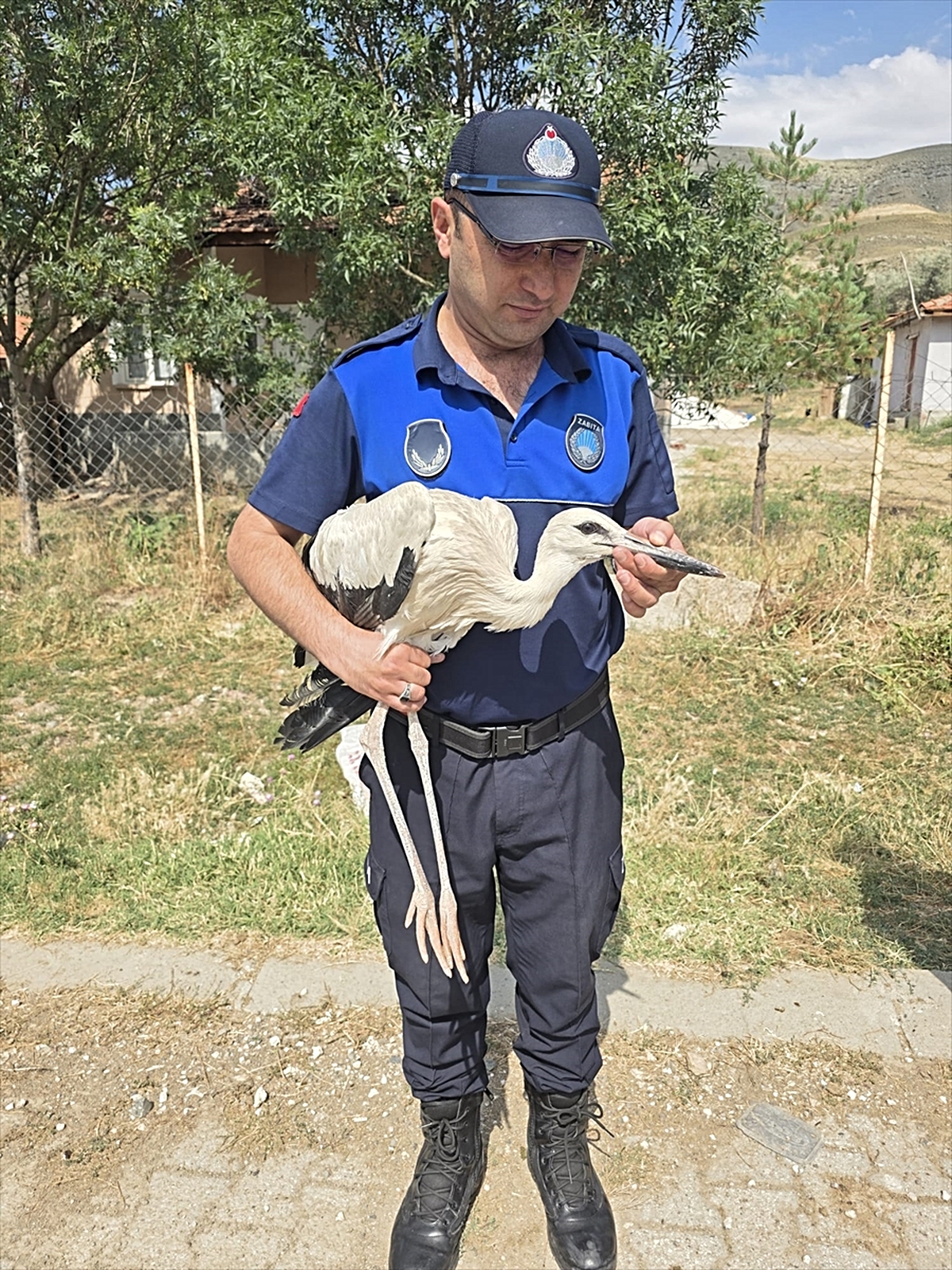 A baby stork that fell from its nest in Çankırı was treated - Last Minute