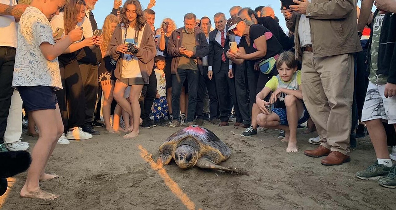 Sıcak Gündem: Caretta caretta 'Cumhuriyet'i binlerce kişi izledi - Son Dakika Haberleri - Son Dakika Bilgileri