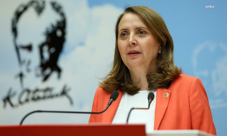 CHP'li Dinçer, Kılıçdaroğlu'nun Sosyal Demokrasi Derneği'nden ihracına tepki gösterdi